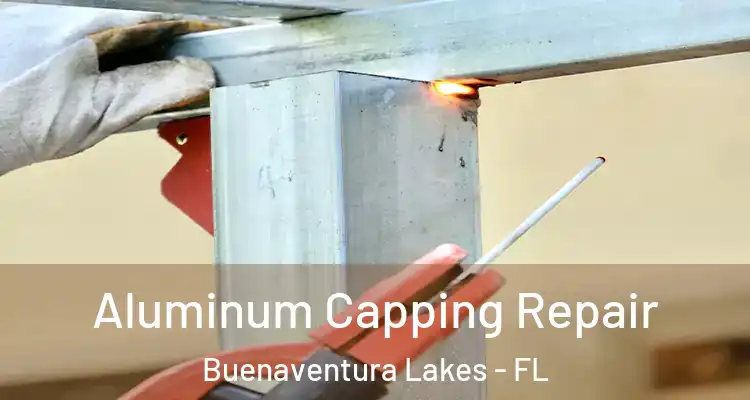 Aluminum Capping Repair Buenaventura Lakes - FL