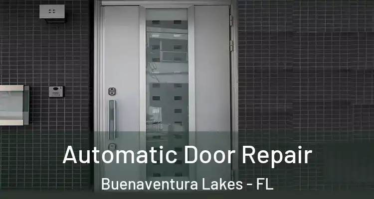 Automatic Door Repair Buenaventura Lakes - FL