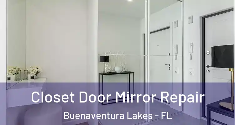 Closet Door Mirror Repair Buenaventura Lakes - FL