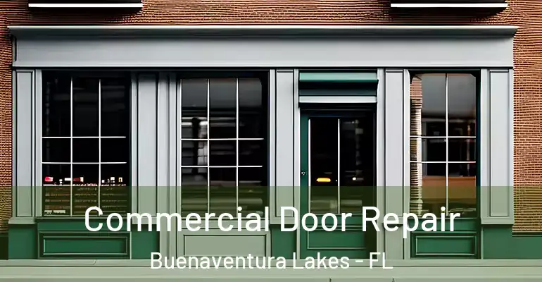 Commercial Door Repair Buenaventura Lakes - FL