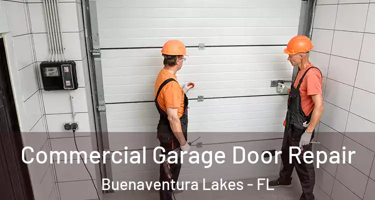 Commercial Garage Door Repair Buenaventura Lakes - FL