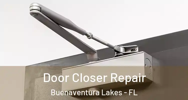 Door Closer Repair Buenaventura Lakes - FL