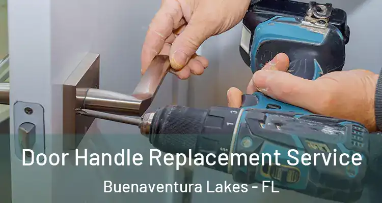 Door Handle Replacement Service Buenaventura Lakes - FL