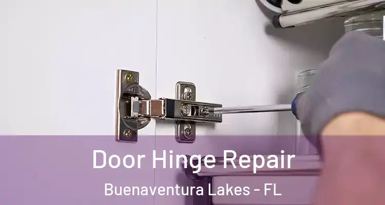 Door Hinge Repair Buenaventura Lakes - FL
