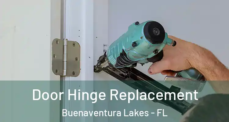 Door Hinge Replacement Buenaventura Lakes - FL