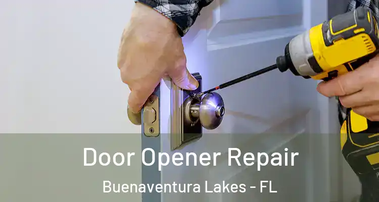 Door Opener Repair Buenaventura Lakes - FL