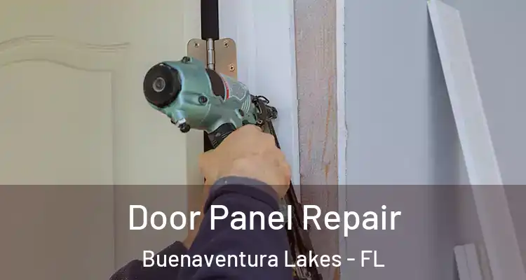 Door Panel Repair Buenaventura Lakes - FL