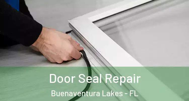 Door Seal Repair Buenaventura Lakes - FL