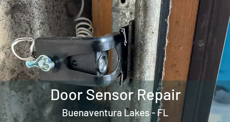 Door Sensor Repair Buenaventura Lakes - FL