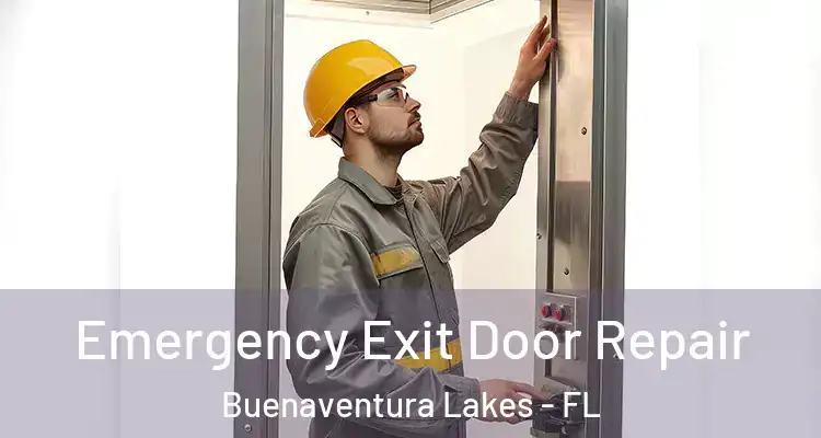 Emergency Exit Door Repair Buenaventura Lakes - FL