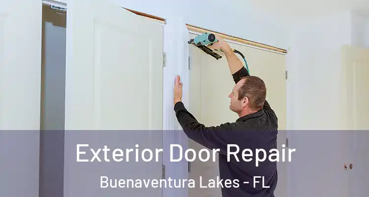 Exterior Door Repair Buenaventura Lakes - FL