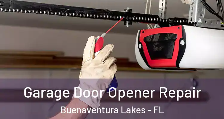 Garage Door Opener Repair Buenaventura Lakes - FL