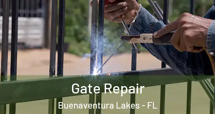 Gate Repair Buenaventura Lakes - FL