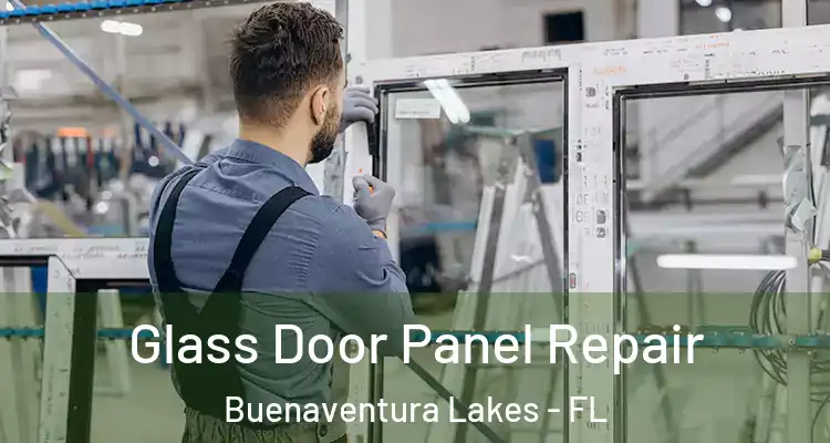 Glass Door Panel Repair Buenaventura Lakes - FL