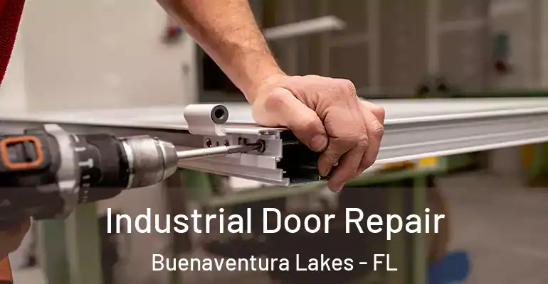 Industrial Door Repair Buenaventura Lakes - FL