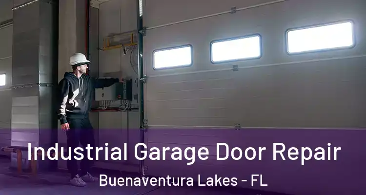 Industrial Garage Door Repair Buenaventura Lakes - FL