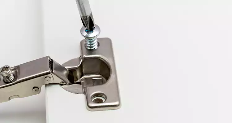 Screen Door Hinge Repair in Buenaventura Lakes, FL