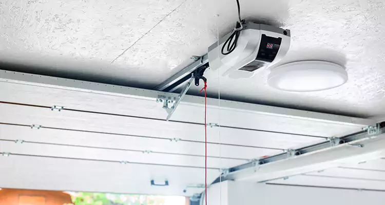 LiftMaster Garage Door Repair in Buenaventura Lakes, FL