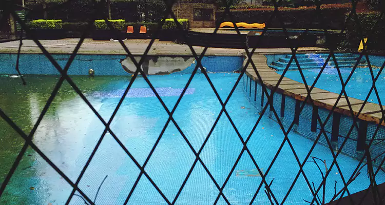 Lanai Screen Repair in Buenaventura Lakes, FL