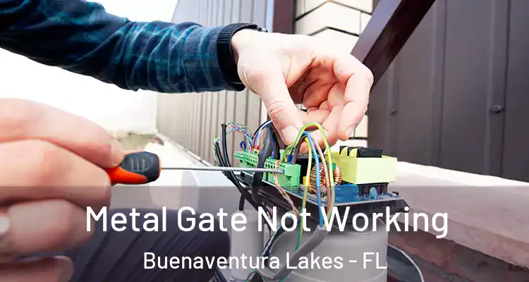 Metal Gate Not Working Buenaventura Lakes - FL