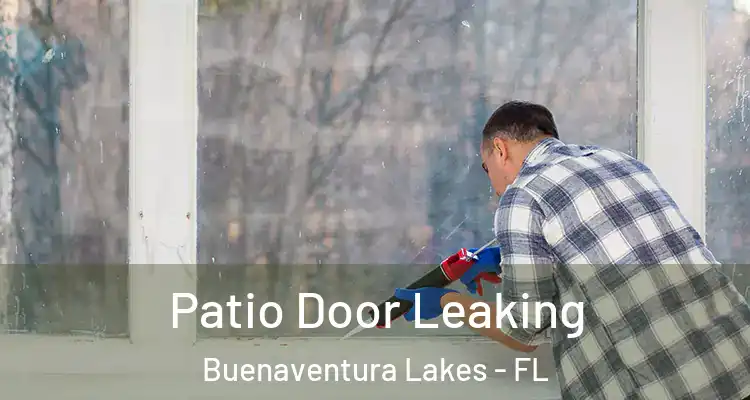 Patio Door Leaking Buenaventura Lakes - FL