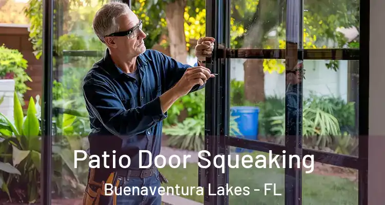 Patio Door Squeaking Buenaventura Lakes - FL