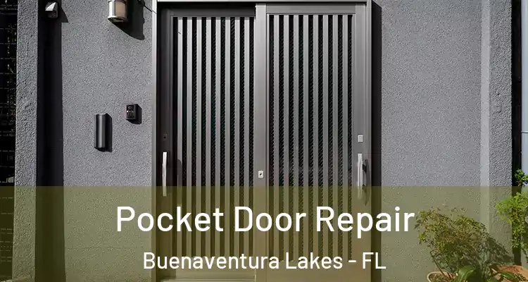 Pocket Door Repair Buenaventura Lakes - FL
