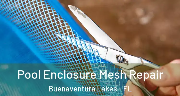 Pool Enclosure Mesh Repair Buenaventura Lakes - FL