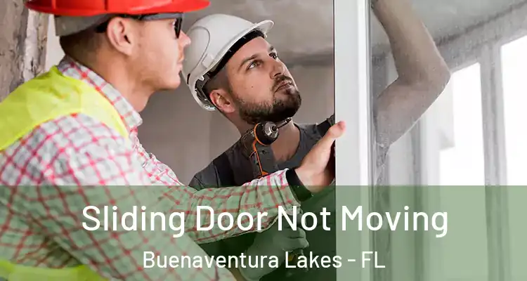 Sliding Door Not Moving Buenaventura Lakes - FL