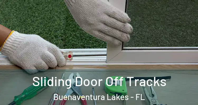 Sliding Door Off Tracks Buenaventura Lakes - FL