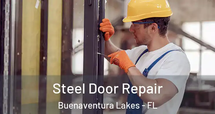 Steel Door Repair Buenaventura Lakes - FL