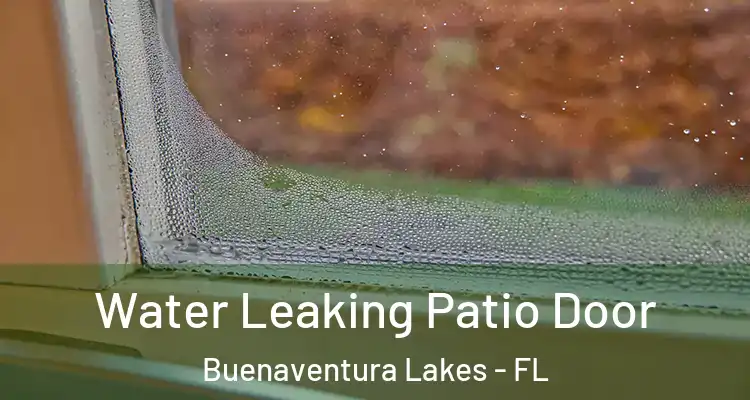 Water Leaking Patio Door Buenaventura Lakes - FL