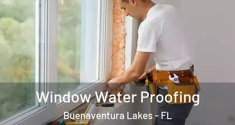 Window Water Proofing Buenaventura Lakes - FL