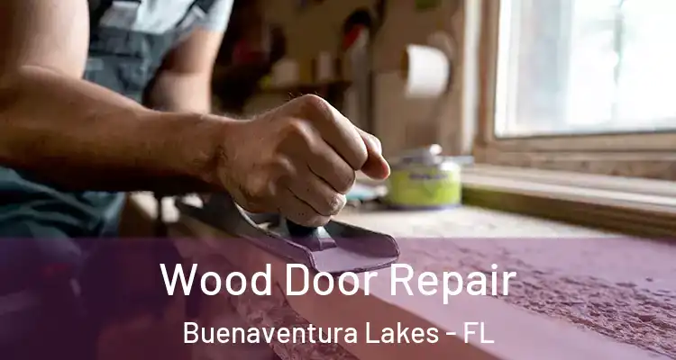 Wood Door Repair Buenaventura Lakes - FL